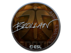 Brollan (Foil) | Katowice 2019 image